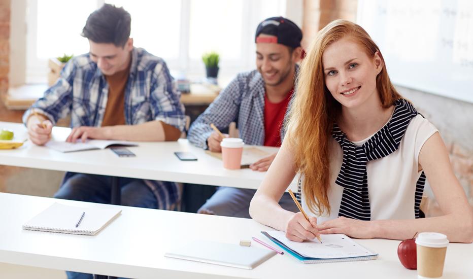 Students learning in classroom